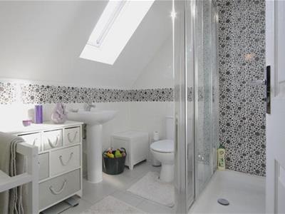 Picture 8